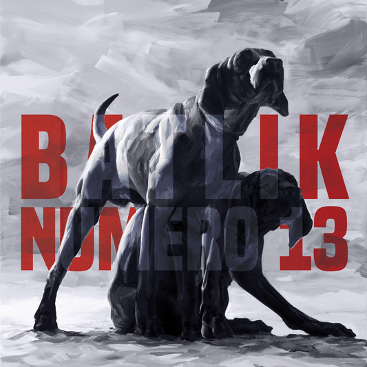Numéro 13 - 04. VV